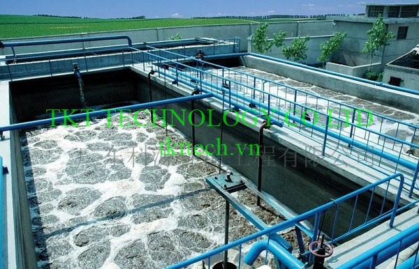 Xử lý nước thải Cá ở Kon Tum, Gia Lai, Đắk Lắk, Đắk Nông và Lâm Đồng