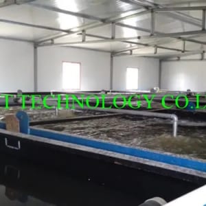 Hệ thống xử lý nước thải chế biến thủy sản tại Vùng Tây Nguyên Kon Tum, Gia Lai, Đắk Lắk, Đắk Nông và Lâm Đồng